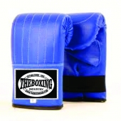 Punching Mitts